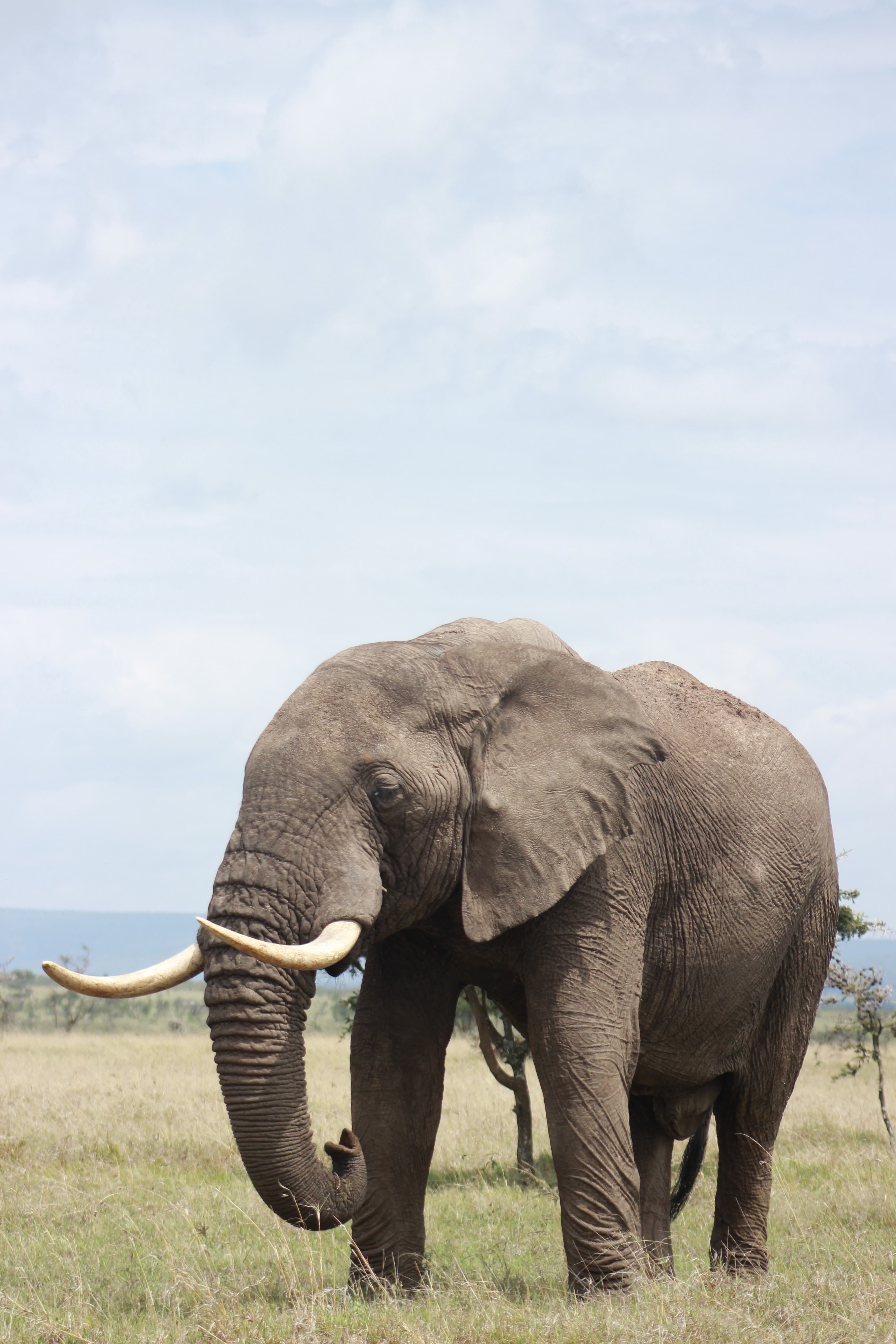 Rwanda