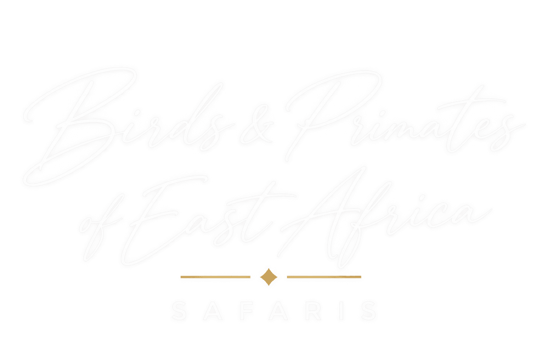 Birds and Primates of East Africa Safaris