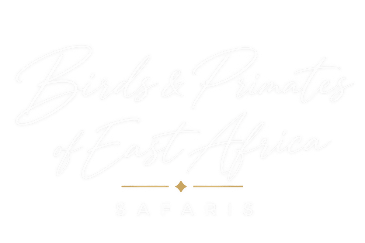 Birds and Primates of East Africa Safaris