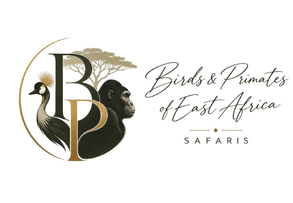 Birds and Primates of East Africa Safaris